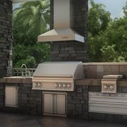 ZLINE 48" Outdoor/Indoor Stainless Steel Wall Range Hood, 667-304-48
