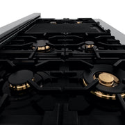 ZLINE 48" Porcelain Rangetop, DuraSnow®, 7 Brass Burners, RTS-BR-48