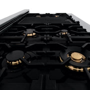 ZLINE 48" Rangetop With 7 Gas Brass Burners, RT-BR-48