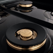 ZLINE 48" Rangetop With 7 Gas Brass Burners, RT-BR-48