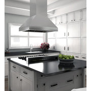 ZLINE 48" Remote Dual Blower Stainless Island Range Hood, 597i-RD-48