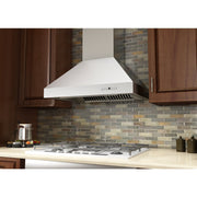 ZLINE 48" Remote Dual Blower Stainless Wall Range Hood, 697-RD-48