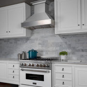 ZLINE 48" Snow Finish Range Hood with Snow Finish Shell, 8654SN-48