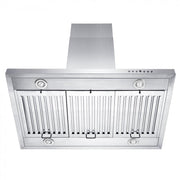 ZLINE 48" Stainless Steel Island Range Hood, GL2i-48