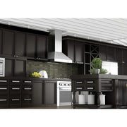 ZLINE 48" Stainless Steel Wall Range Hood 667-48