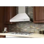 ZLINE 48" Stainless Steel Wall Range Hood 667-48