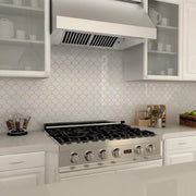 ZLINE 48" UNDER CABINET RANGE HOOD (523-48)