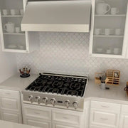 ZLINE 48" UNDER CABINET RANGE HOOD (523-48)