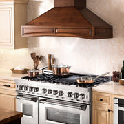 ZLINE 60" Dual Fuel Range, Snow Stainless, Brass Burners, RAS-SN-BR-60