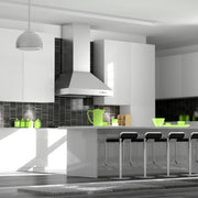 ZLINE Ducted Wall Mount Range Hood in Outdoor Approved Stainless Steel 697-304-36