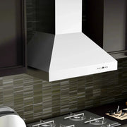 ZLINE Ducted Wall Mount Range Hood in Outdoor Approved Stainless Steel 697-304-42