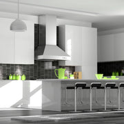 ZLINE Ducted Wall Mount Range Hood in Outdoor Approved Stainless Steel 697-304-60