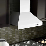 ZLINE Ducted Wall Mount Range Hood in Outdoor Approved Stainless Steel 697-304-60